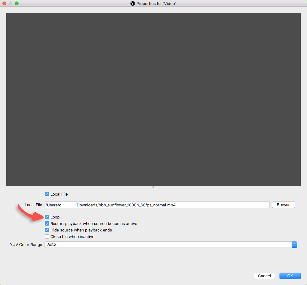 How to Loop Video for Live Streams Using OBS Studio